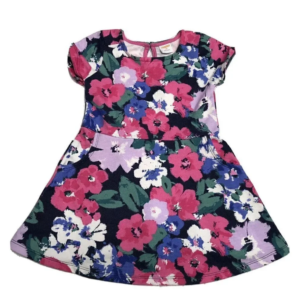 Gymboree Girls Size 2T Blue Pink Floral Short Sleeve Dress